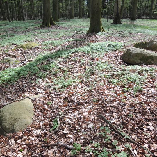 Großsteingrab Rothenmoor 2