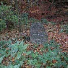 Pomník zastřeleného Josefa Homoly u silnice severovýchodně od Harasova