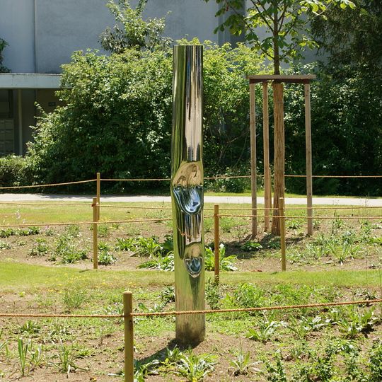 Circuspferde, waren schon immer ein Traum für mich