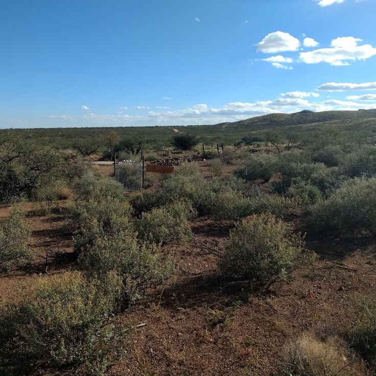 Courtland, Arizona, USA