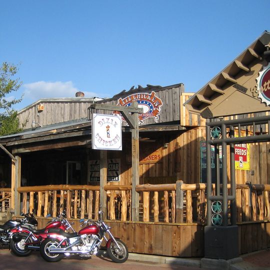 Dixie Chicken