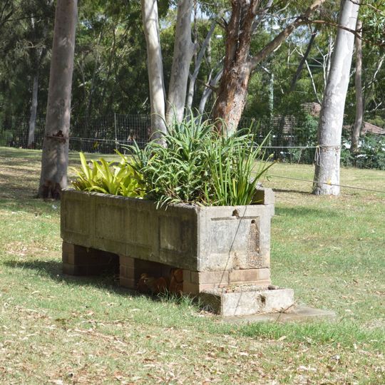 Horse trough