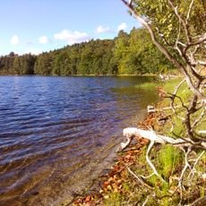 Nature reserve Pełcznica