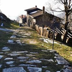 Monti Albero del Cucco