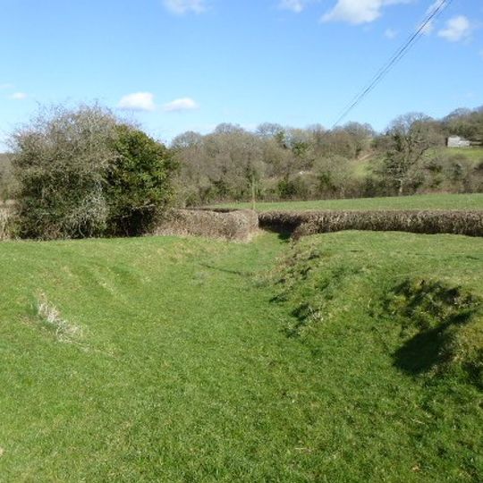 Willingford Meadows