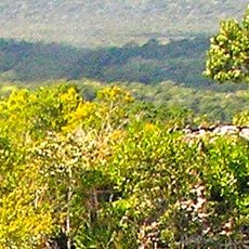 El Mirador