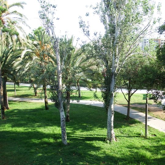 Alberedetes de Serrans