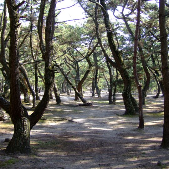 Keino-matsubara