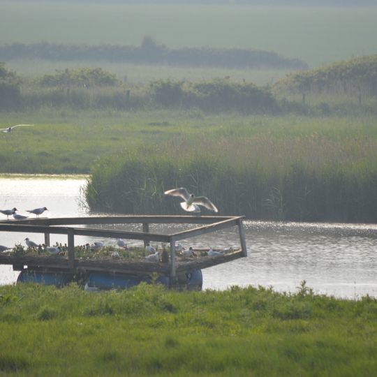 Holland Haven Marshes