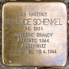 Maurice Schenkel