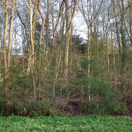 Höhenburg Naugarten