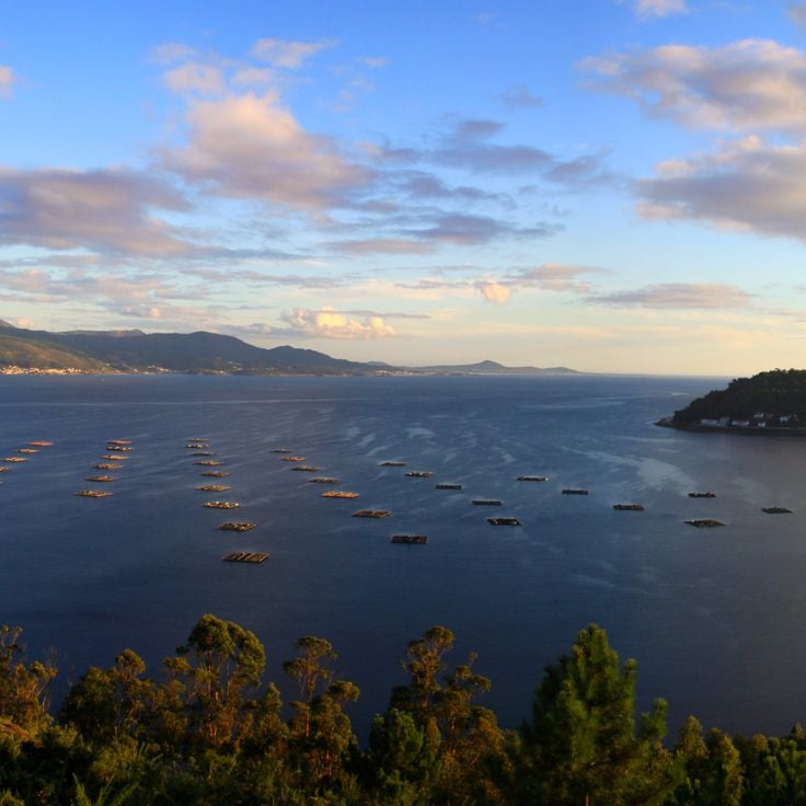 Ría de Muros e Noia