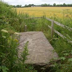 Ballyboodan Ogham Stone