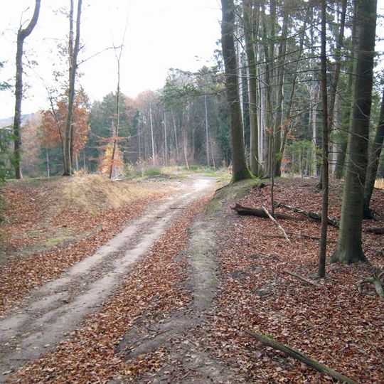 Wallanlage Alte Burg Erberich