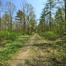 Oberwald Hohenstein-Ernstthal