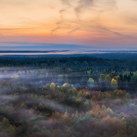 Veps Forest Nature Park