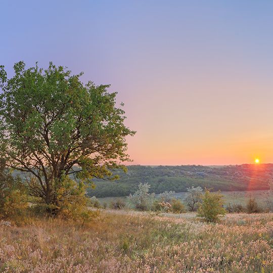 Kajirivs'kyj landscape reserve