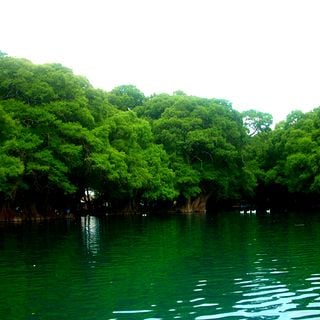 Lago de Camécuaro National Park