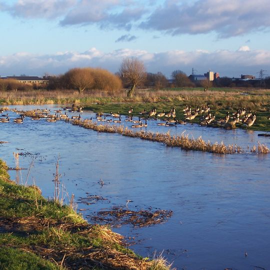 Doxey Marshes