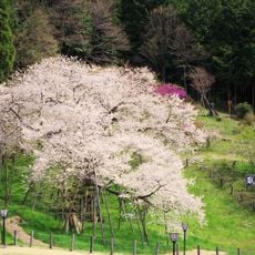Daidō-ji