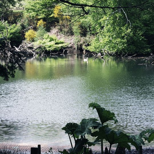 Parc animalier Saint-Martin