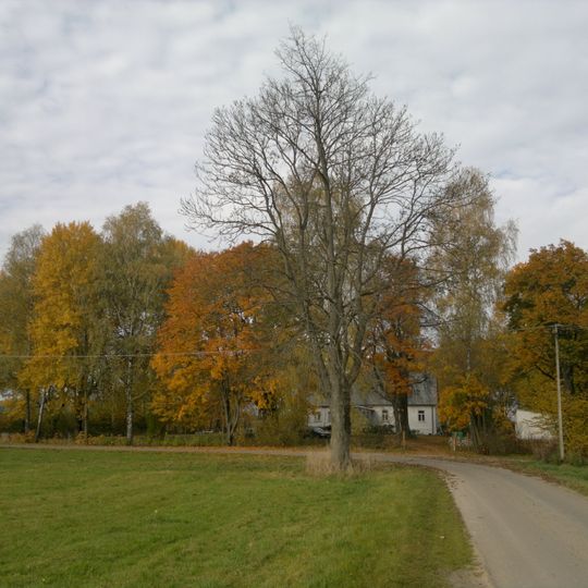 Park w Łumbiach