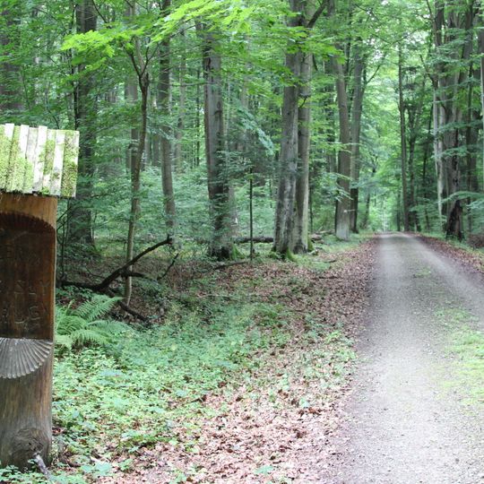 Obszar ochrony ścisłej Jarugi