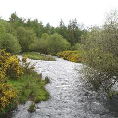 Coedydd Dyffryn Alwen