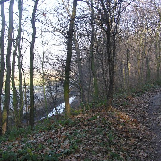 Pola irygacyjne Wrocławia