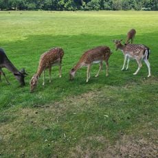 Lindenthaler Tierpark