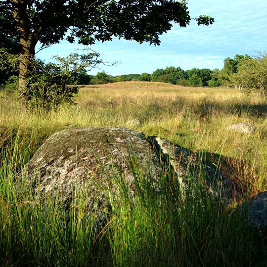 Kronovalls Store vång