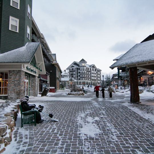 Snowshoe