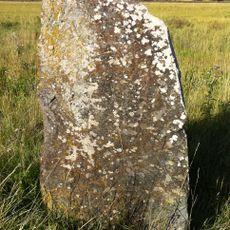 Uppland Runic Inscription 442