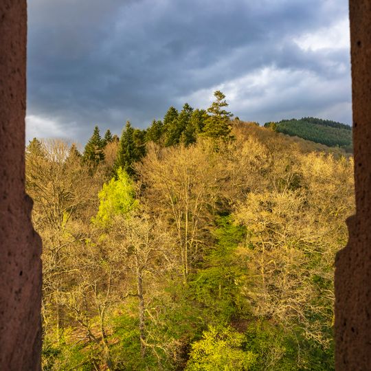 Odenwald bei Hirschhorn