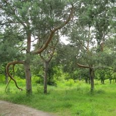 Studentskyi Park, Kremenchuk