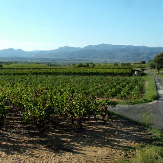 Mas de Daumas Gassac