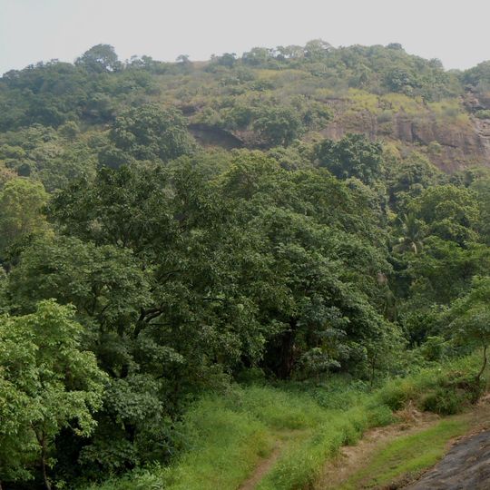 Sanjay Gandhi National Park