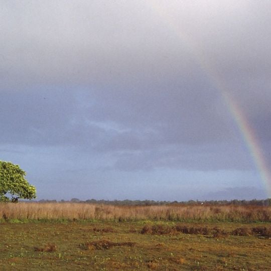 Parco nazionale di Wasur