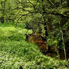 Hachetal und Freidorfer Hachetal