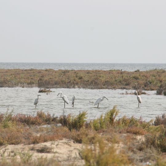 Lake Bardawil