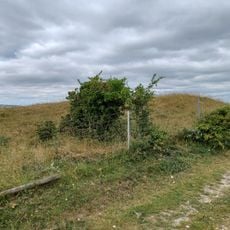 Cross dyke and bowl barrow 310m south east of Wolstonbury Camp