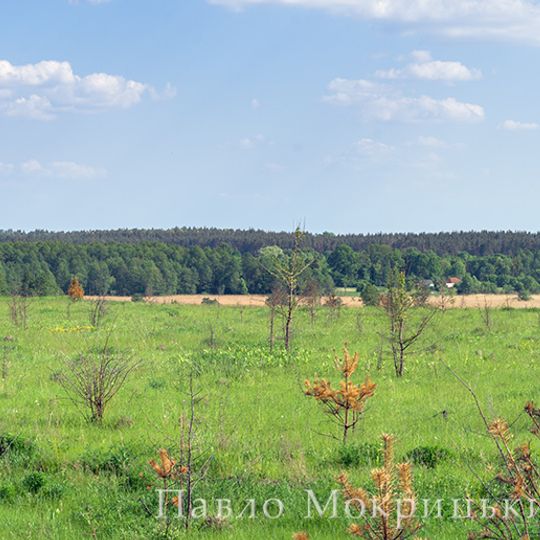 Sushchanski stavky hydrological sanctuary