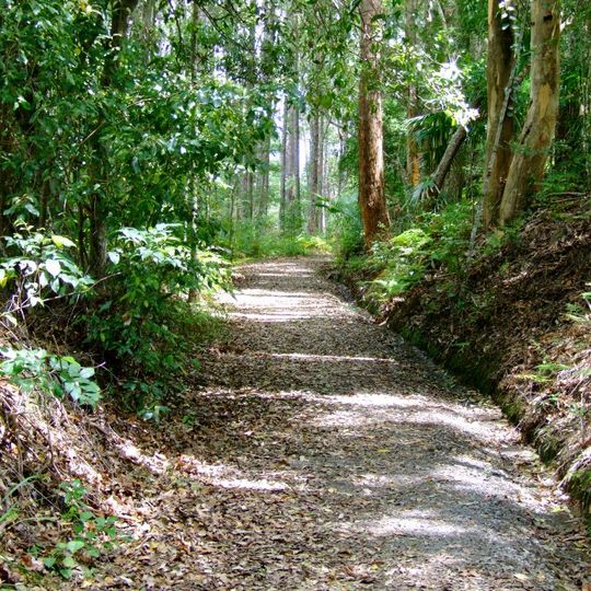 Palmwoods-Buderim Tramway