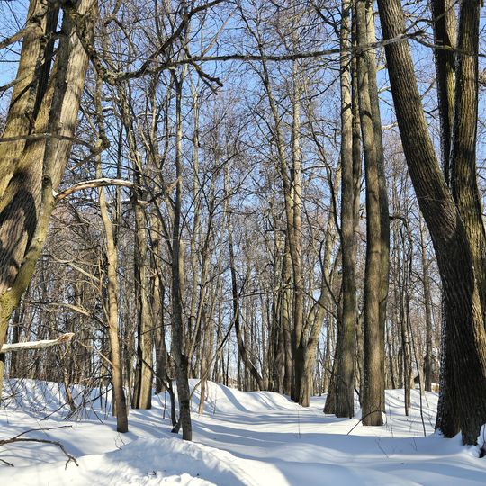 Усадьба Ильиных
