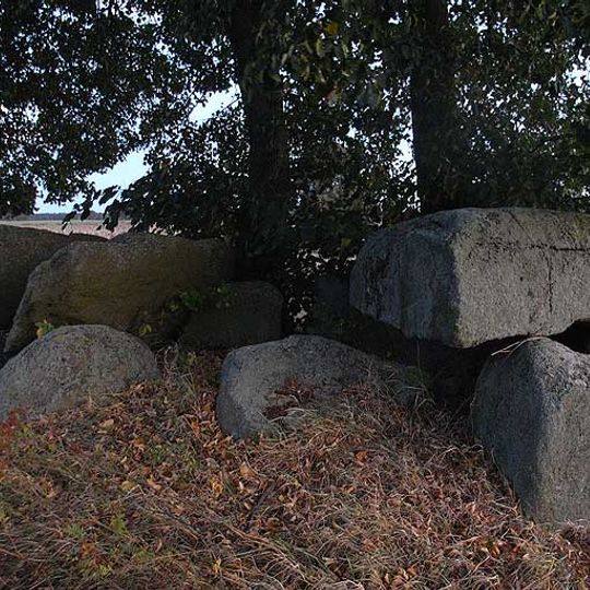 Großsteingräber bei Bornsen