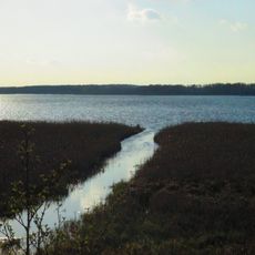 Rezerwat przyrody Jezioro Kolno