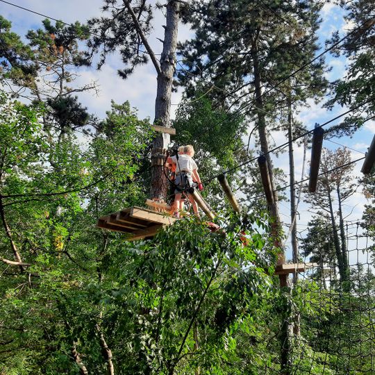 Jungle Adventure Park