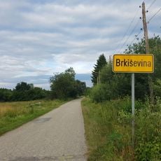 Brkiševina