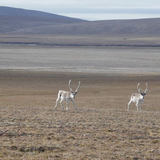 Parco nazionale di Qausuittuq