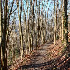 Schlossberg bei Montabaur